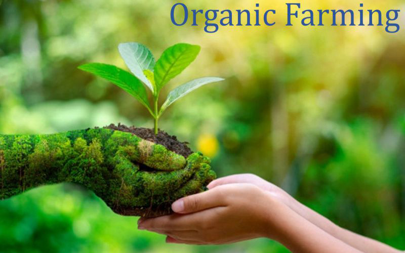 AGRI PRODUCT
