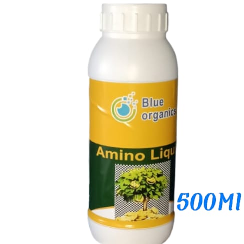 amino (500ml)